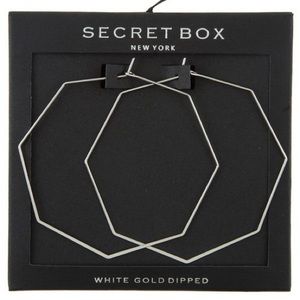 🌹Silver Toned Hoop Earrings🌹